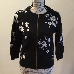 Ann Taylor Petite 3/4 sleeve sweater